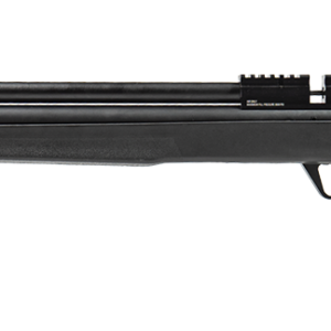 Benjamin Marauder .22