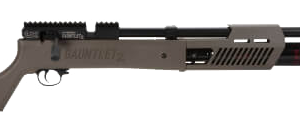 Umarex Gauntlet 2 .22